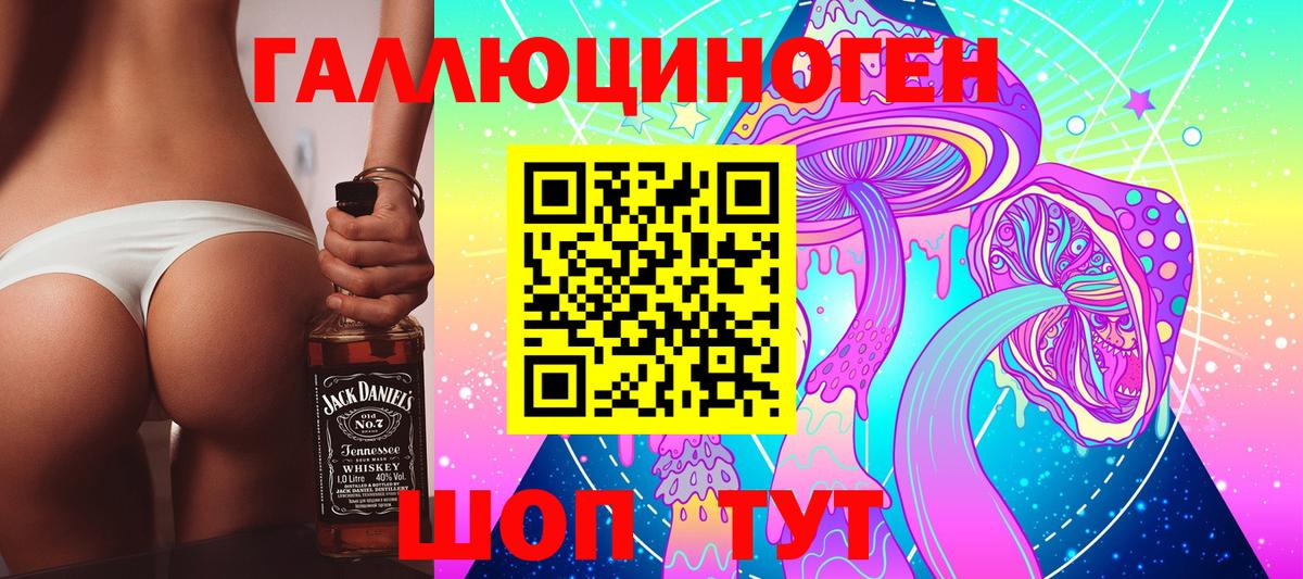 Псилоцибиновые грибы Psilocybine cubensis  Псилоцибиновые грибы мицелий  Семёнов  Вход с VPN 